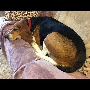 Meet your Posher, Krista